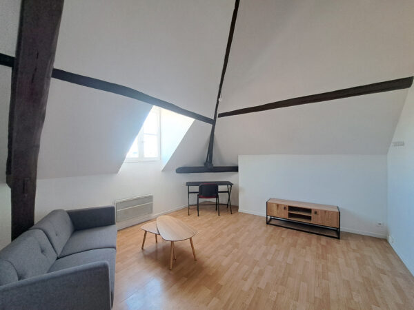 Appartement T1bis avec meubles à disposition &#8211; TROYES CENTRE