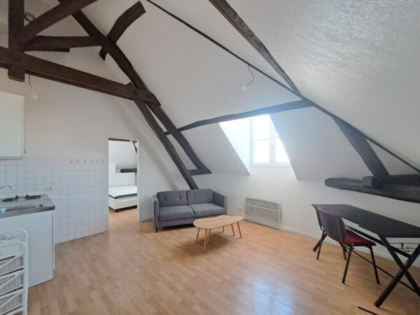 Appartement T1bis avec meubles à disposition &#8211; TROYES CENTRE