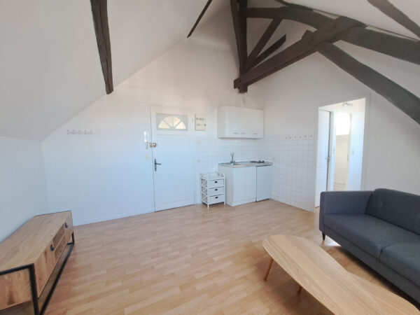 Appartement T1bis avec meubles à disposition &#8211; TROYES CENTRE